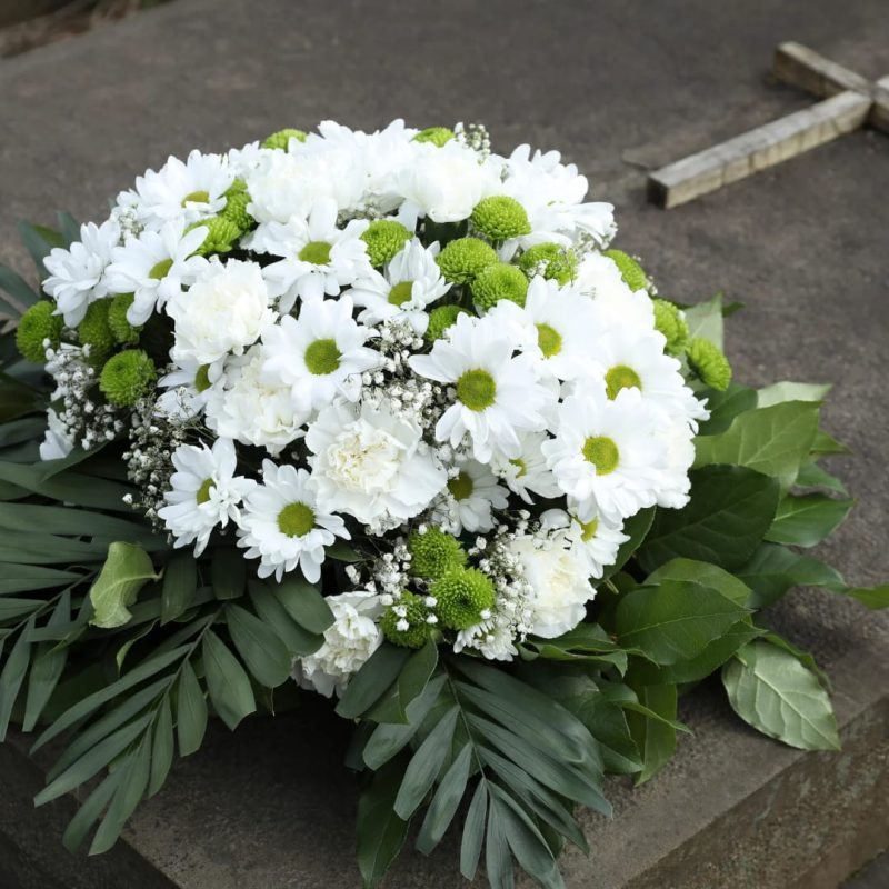 WhatsApp Image 2025-07-18 at 13.06.33